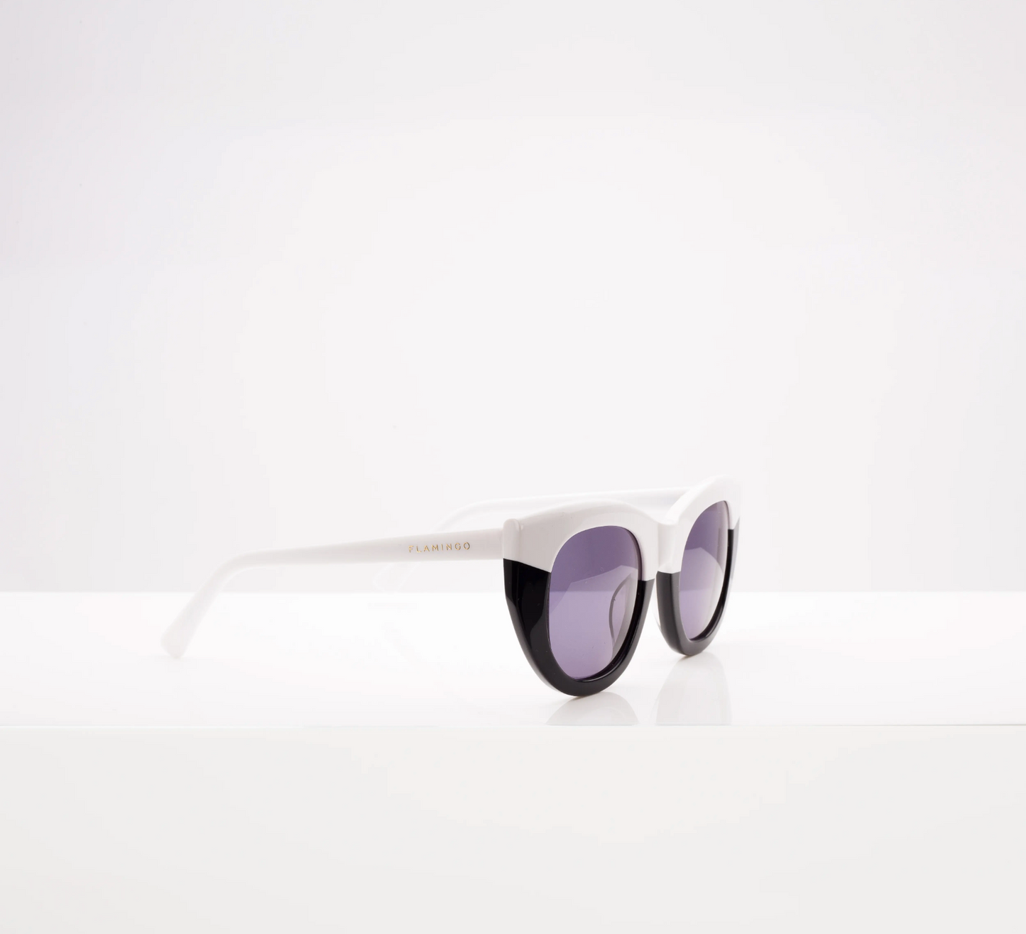 Pacifica Black & White Sunglasses